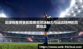 博彩业反洗钱案例库建立