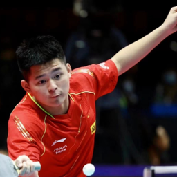 凭借多样化 凭借多样化